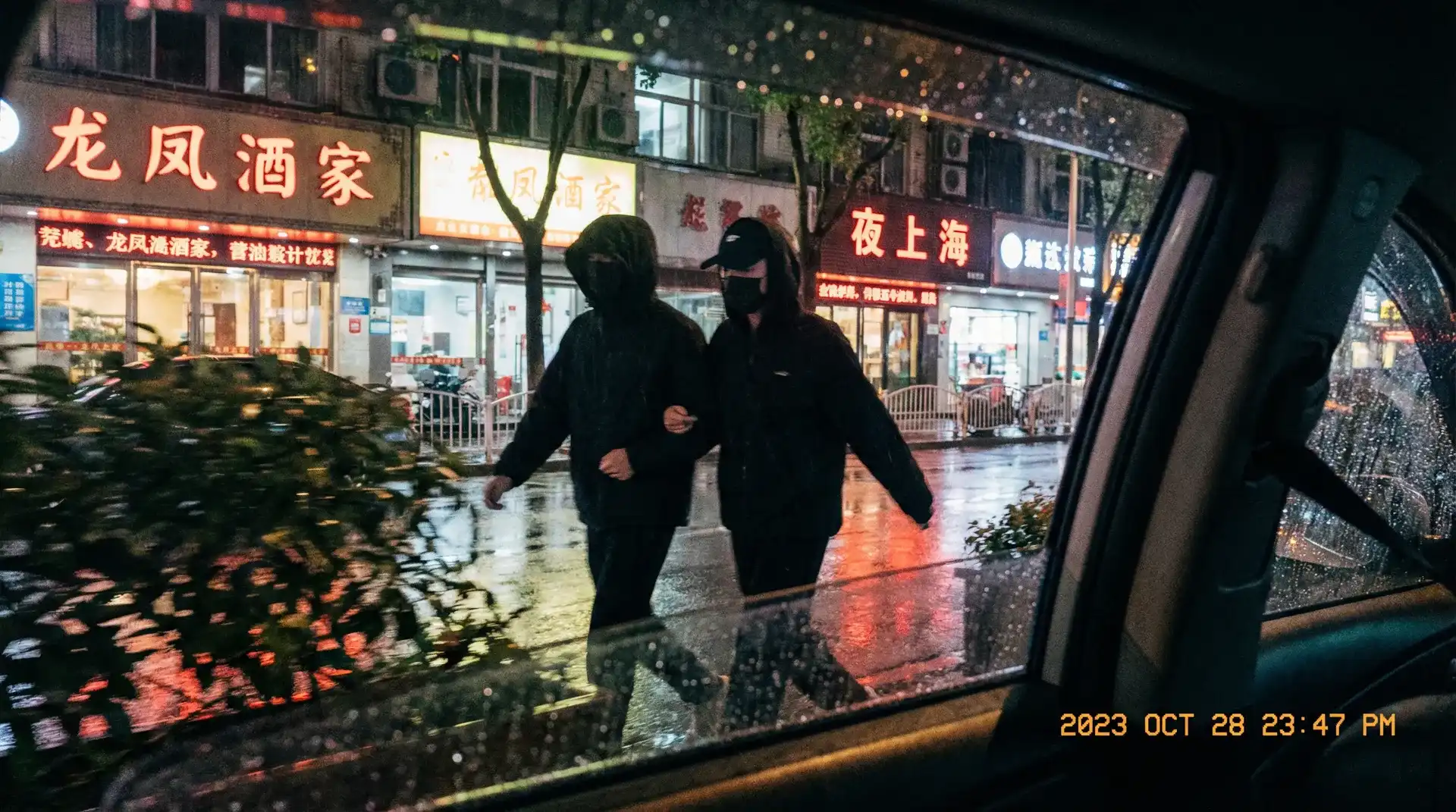 多肉小野猫 - 顶流明星深夜密会现场抓拍照片